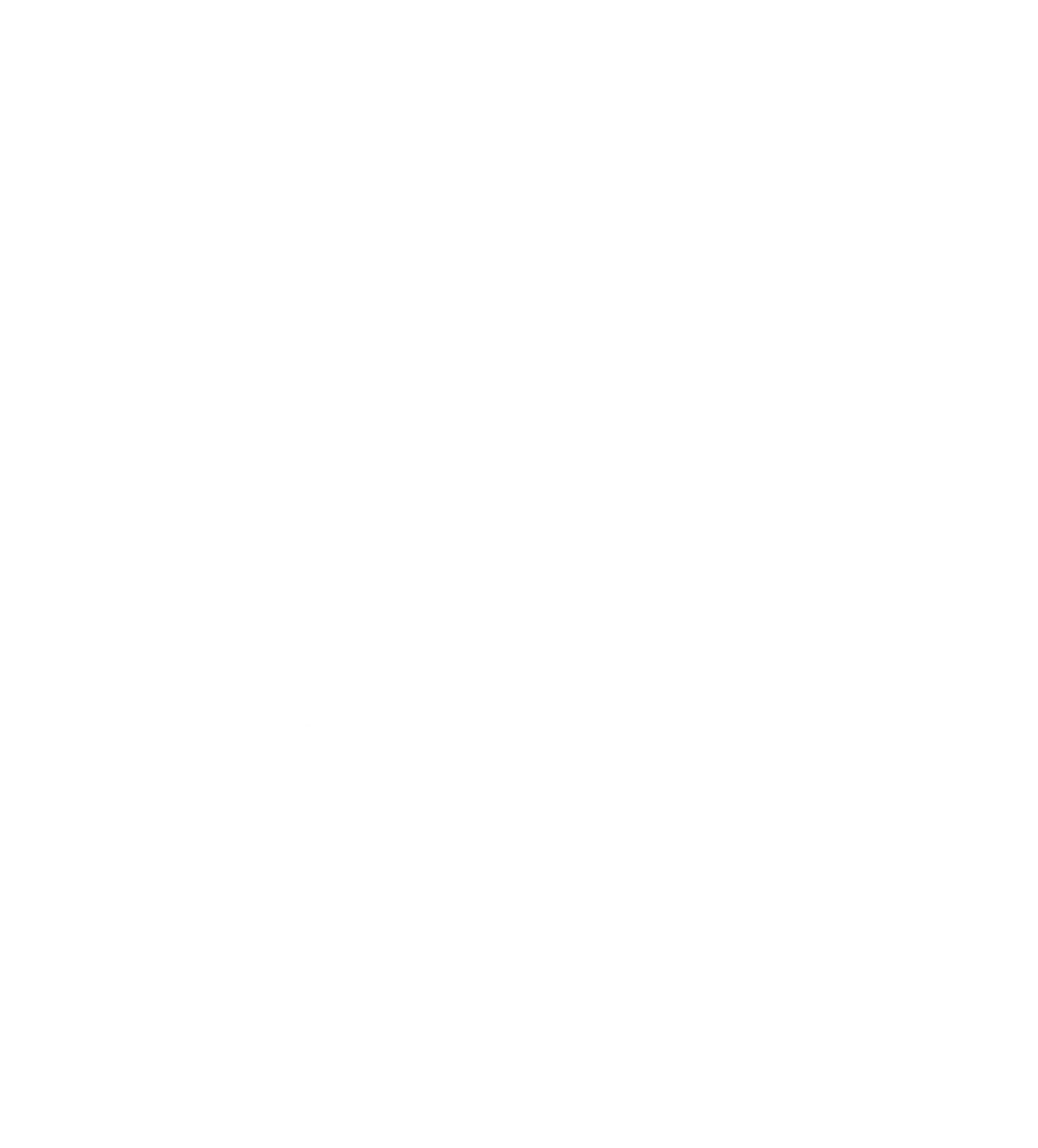 VEITH SCT – Industrie-Consulting – Symbol